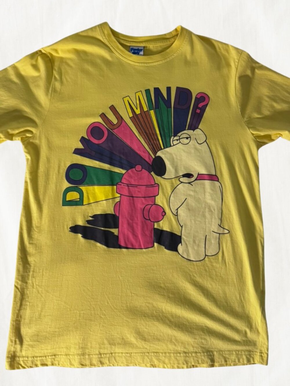 Family Guy “Do You Mind” Graphic Tee (CA 55458 / Style 344F689)